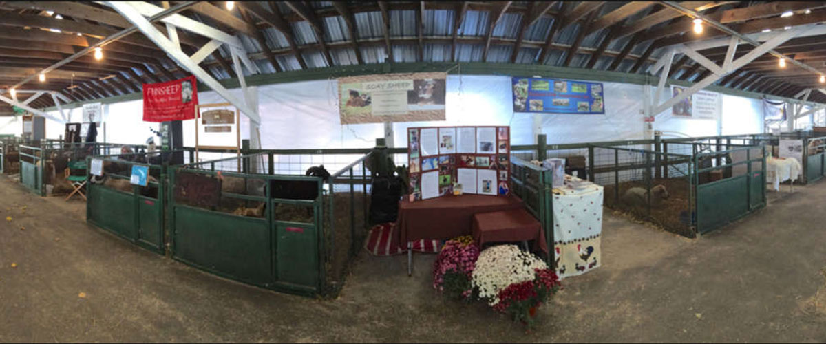 Livestock Displays